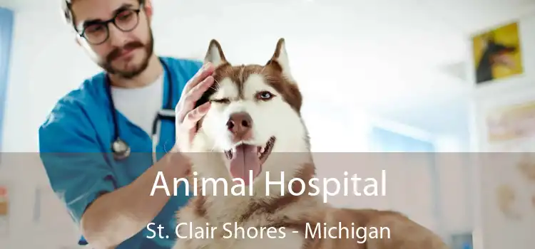 Animal Hospital St. Clair Shores - Michigan