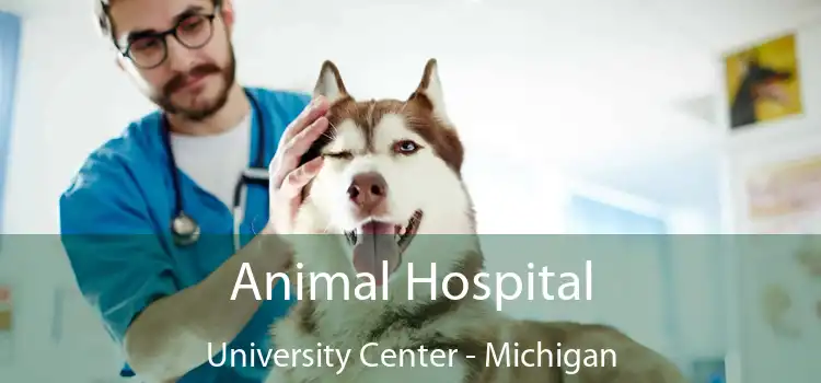 Animal Hospital University Center - Michigan