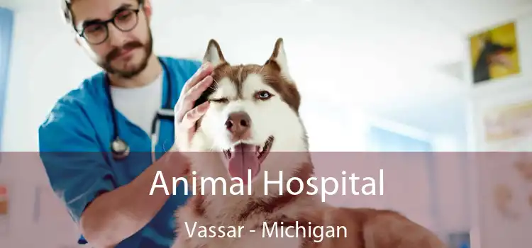 Animal Hospital Vassar - Michigan