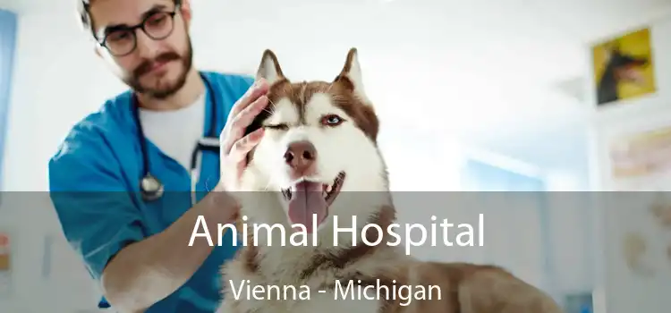 Animal Hospital Vienna - Michigan