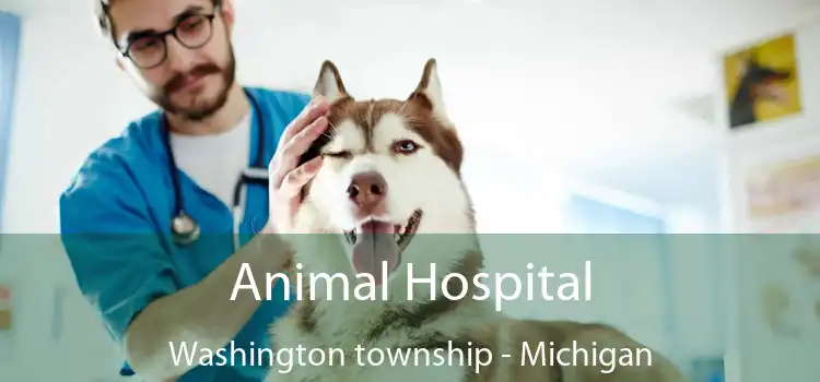 Animal Hospital Washington township - Michigan