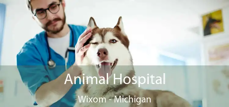 Animal Hospital Wixom - Michigan