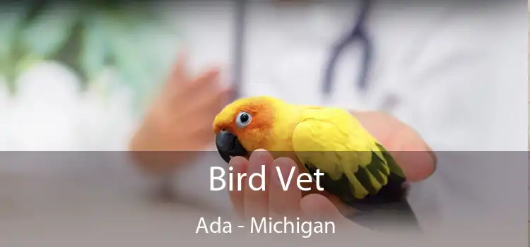 Bird Vet Ada - Michigan