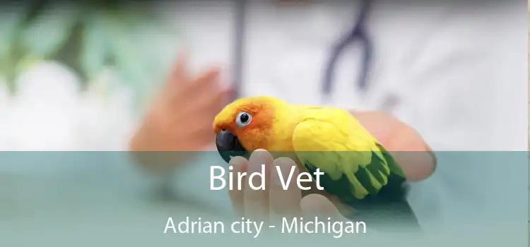 Bird Vet Adrian city - Michigan