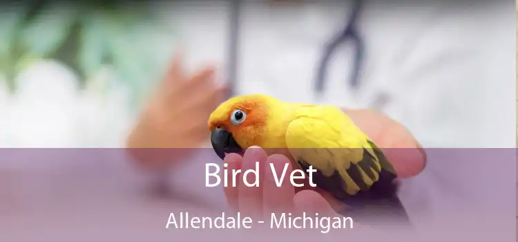 Bird Vet Allendale - Michigan