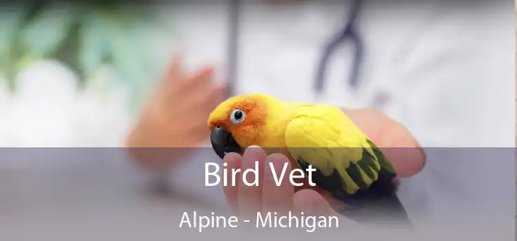 Bird Vet Alpine - Michigan