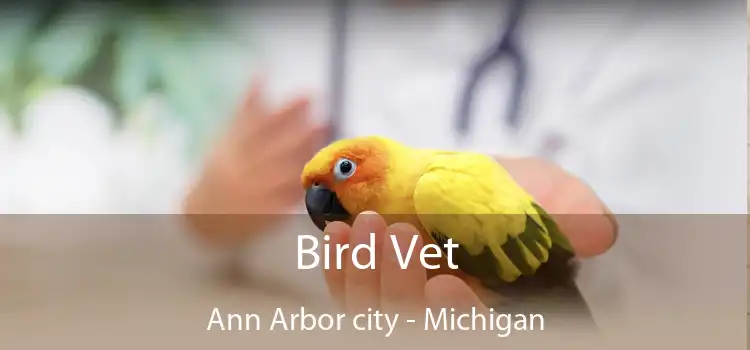 Bird Vet Ann Arbor city - Michigan