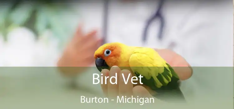 Bird Vet Burton - Michigan