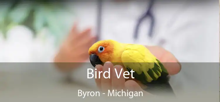 Bird Vet Byron - Michigan