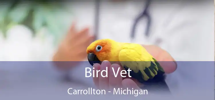 Bird Vet Carrollton - Michigan