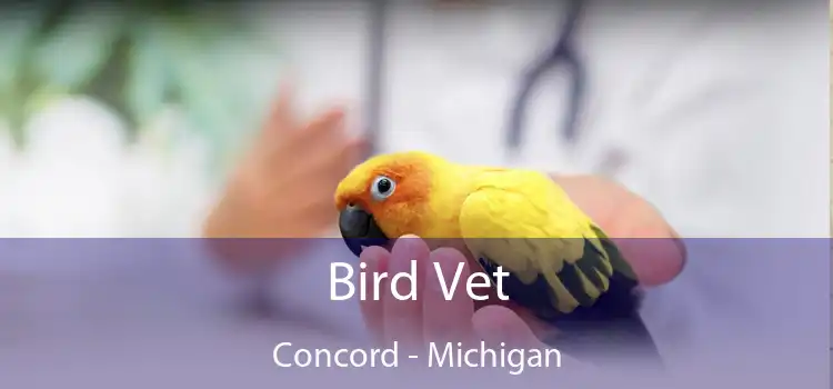 Bird Vet Concord - Michigan