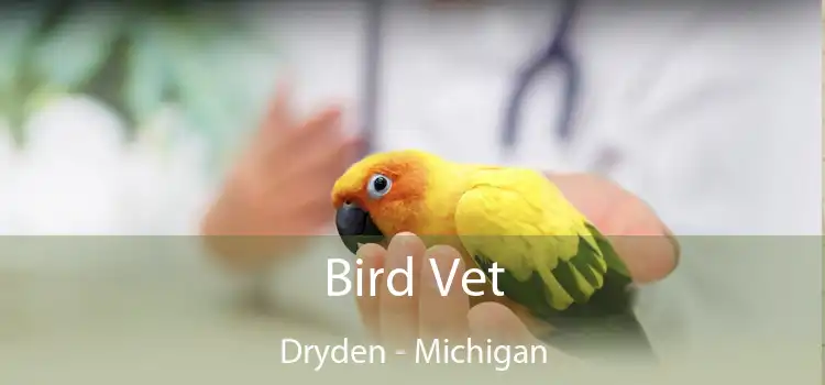 Bird Vet Dryden - Michigan