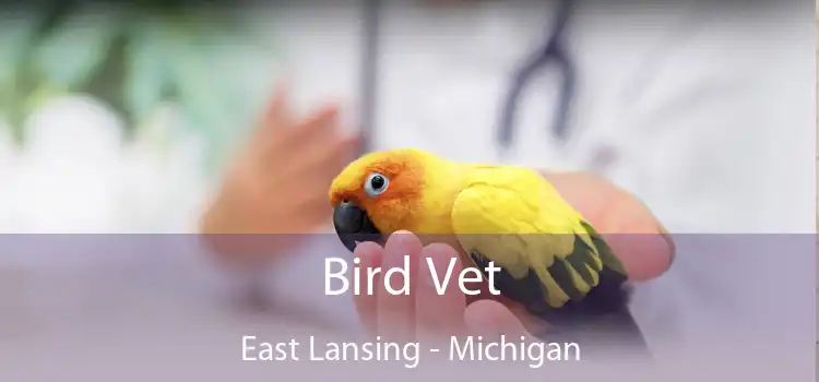 Bird Vet East Lansing - Michigan