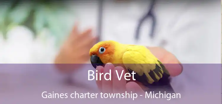 Bird Vet Gaines charter township - Michigan