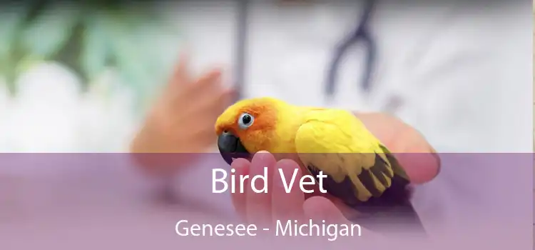 Bird Vet Genesee - Michigan