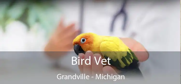 Bird Vet Grandville - Michigan