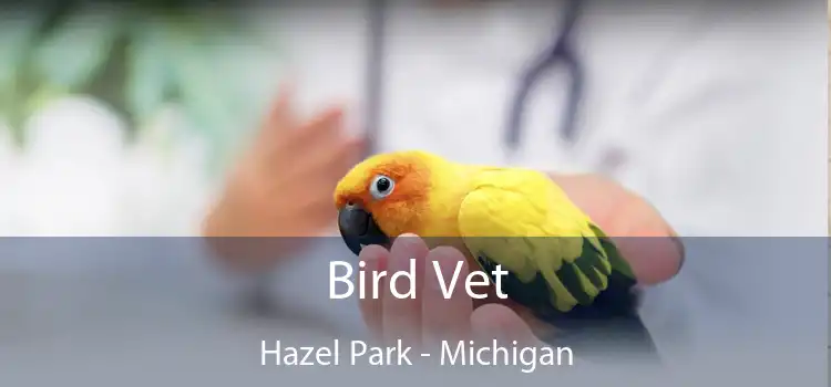 Bird Vet Hazel Park - Michigan