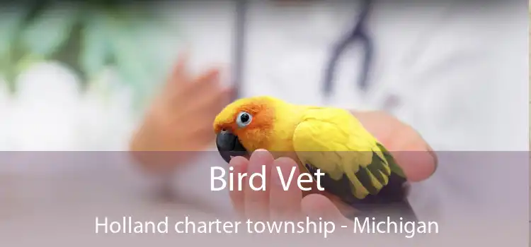 Bird Vet Holland charter township - Michigan