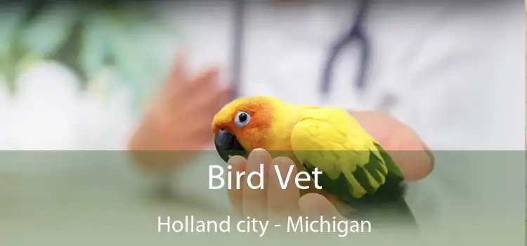 Bird Vet Holland city - Michigan