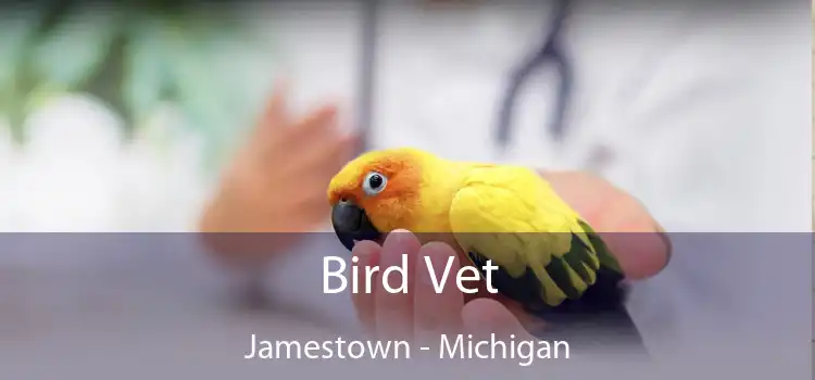 Bird Vet Jamestown - Michigan