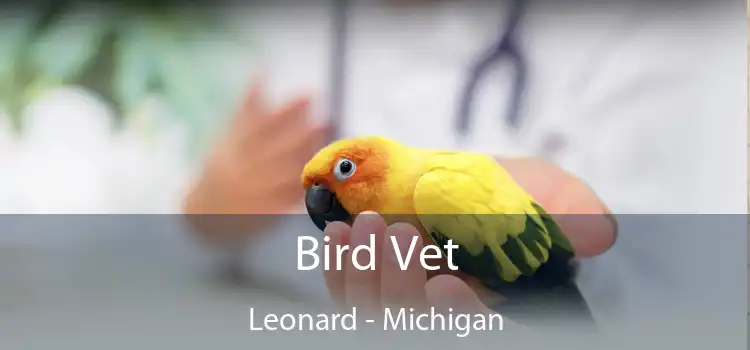 Bird Vet Leonard - Michigan