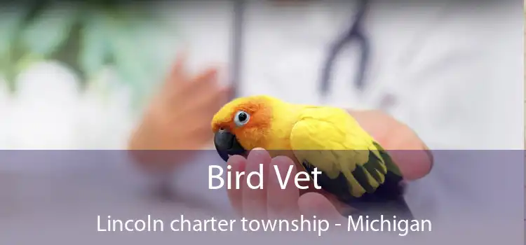 Bird Vet Lincoln charter township - Michigan