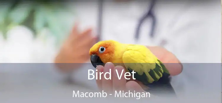 Bird Vet Macomb - Michigan