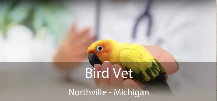 Bird Vet Northville - Michigan