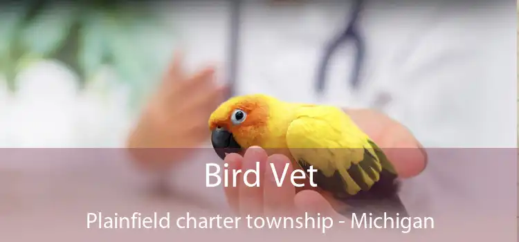 Bird Vet Plainfield charter township - Michigan