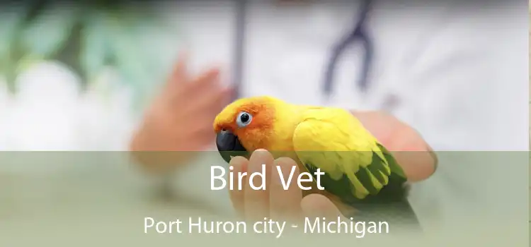 Bird Vet Port Huron city - Michigan