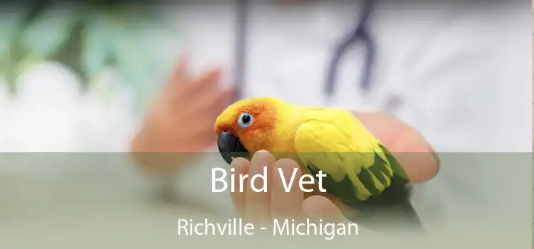 Bird Vet Richville - Michigan