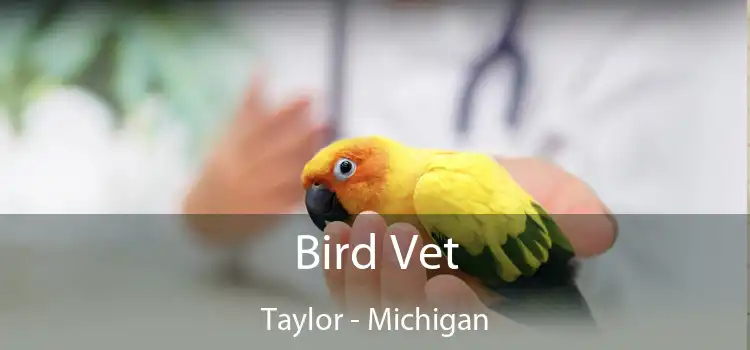 Bird Vet Taylor - Michigan