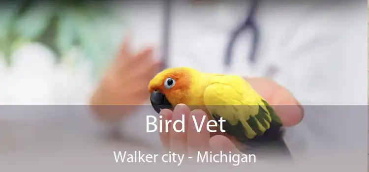 Bird Vet Walker city - Michigan