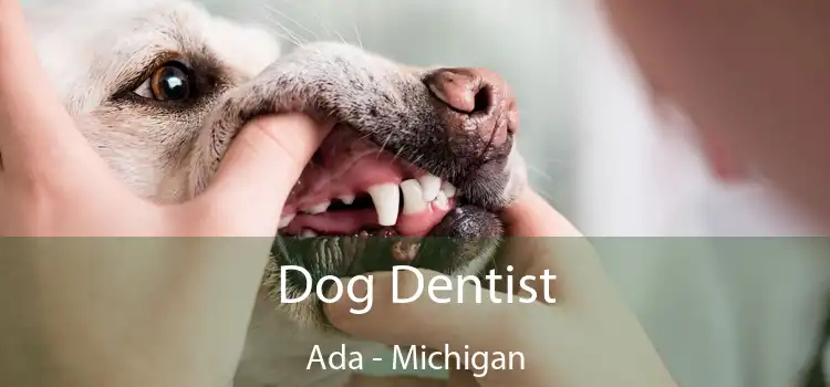 Dog Dentist Ada - Michigan