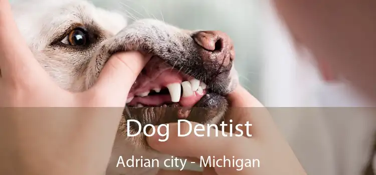 Dog Dentist Adrian city - Michigan