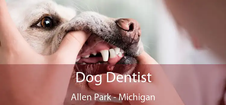 Dog Dentist Allen Park - Michigan