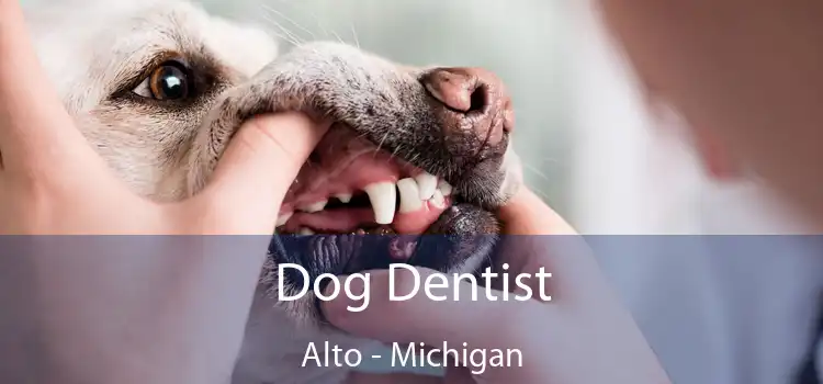 Dog Dentist Alto - Michigan