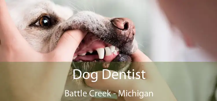 Dog Dentist Battle Creek - Michigan