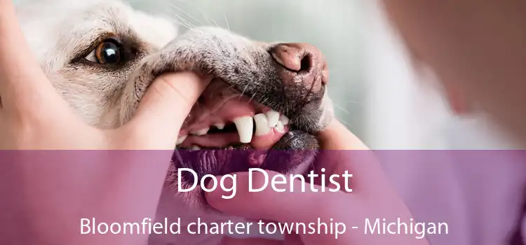 Dog Dentist Bloomfield charter township - Michigan