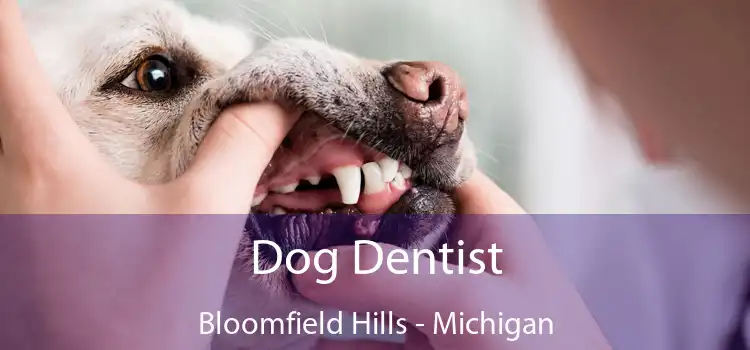 Dog Dentist Bloomfield Hills - Michigan