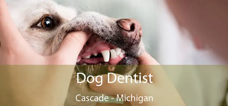 Dog Dentist Cascade - Michigan