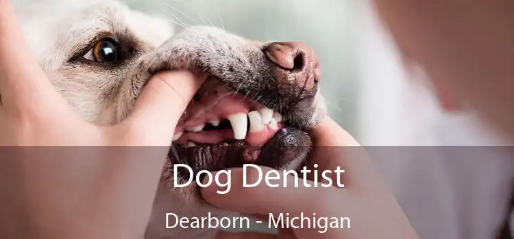 Dog Dentist Dearborn - Michigan