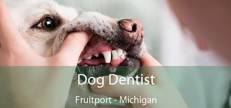 Dog Dentist Fruitport - Michigan