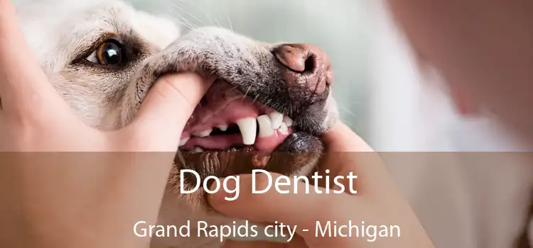 Dog Dentist Grand Rapids city - Michigan