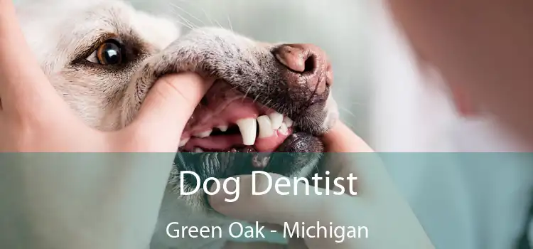 Dog Dentist Green Oak - Michigan