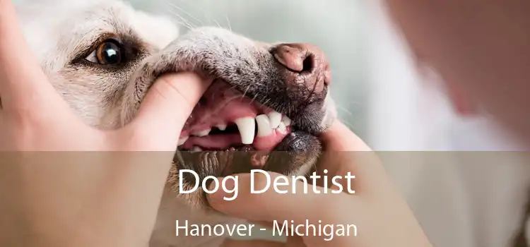 Dog Dentist Hanover - Michigan