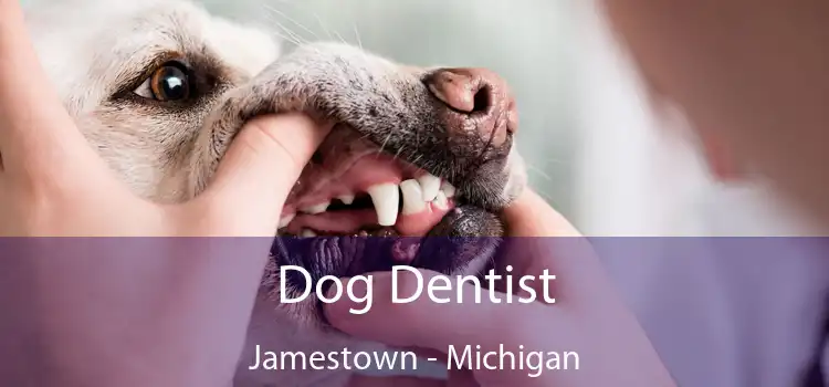 Dog Dentist Jamestown - Michigan