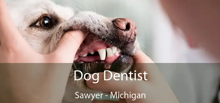 Dog Dentist Sawyer - Michigan