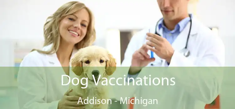 Dog Vaccinations Addison - Michigan