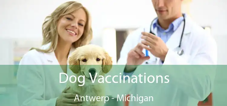 Dog Vaccinations Antwerp - Michigan